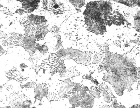 1045 steel under a microscope