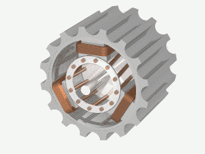 squirrel cage motor 