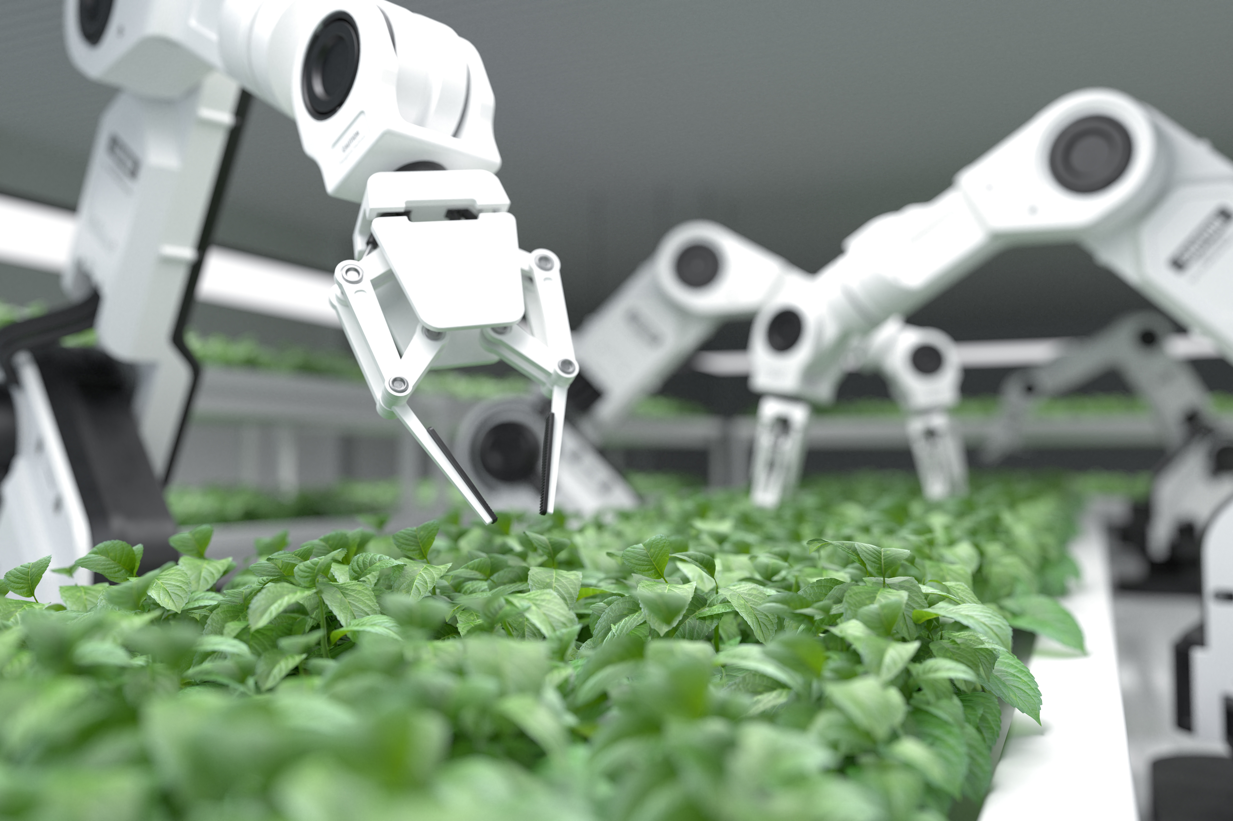 indoor farming / vertical farming with robotics and artificial intelligence
