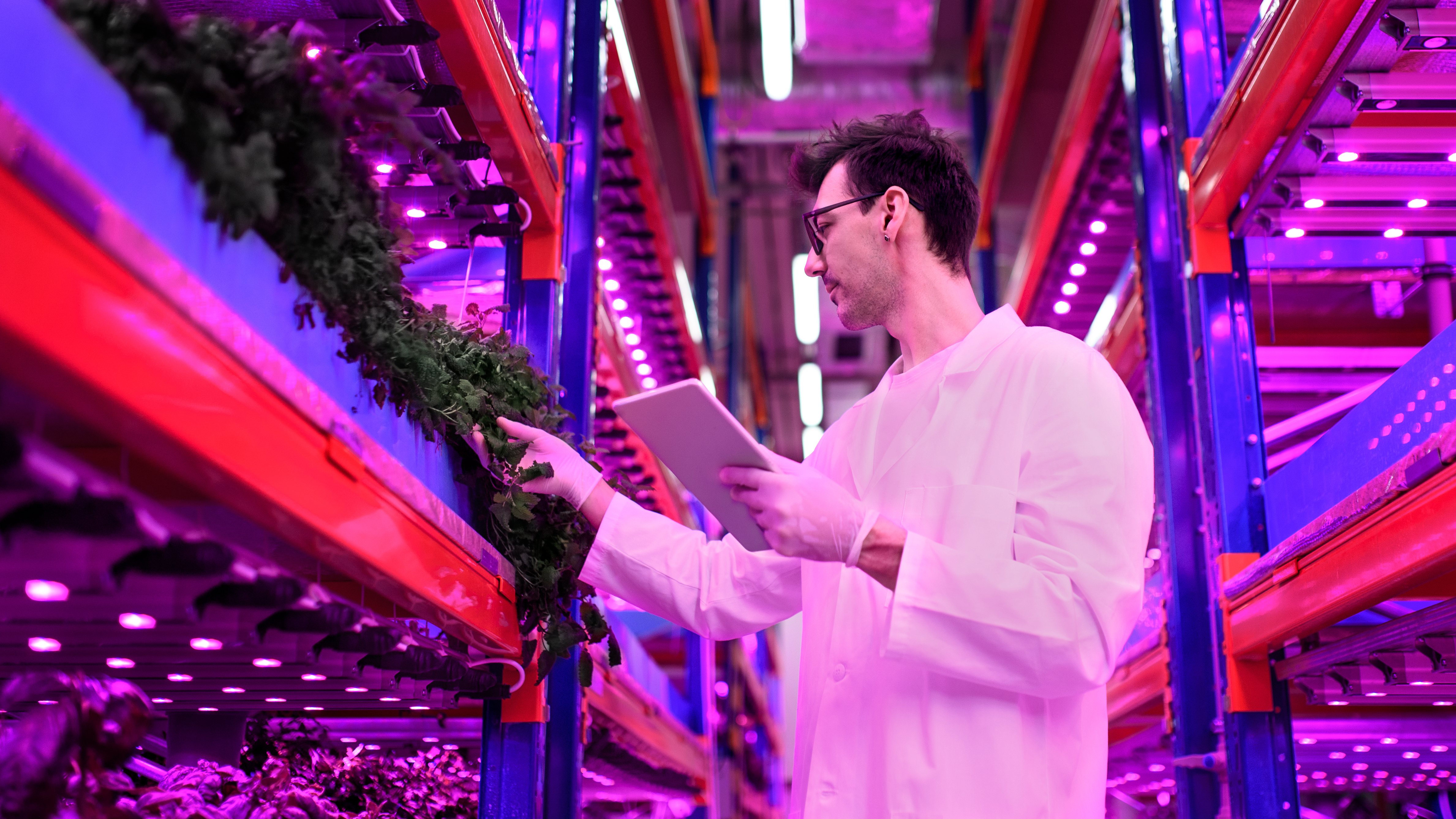 siemens collaborate with 80 acres for smart and sustainable farming