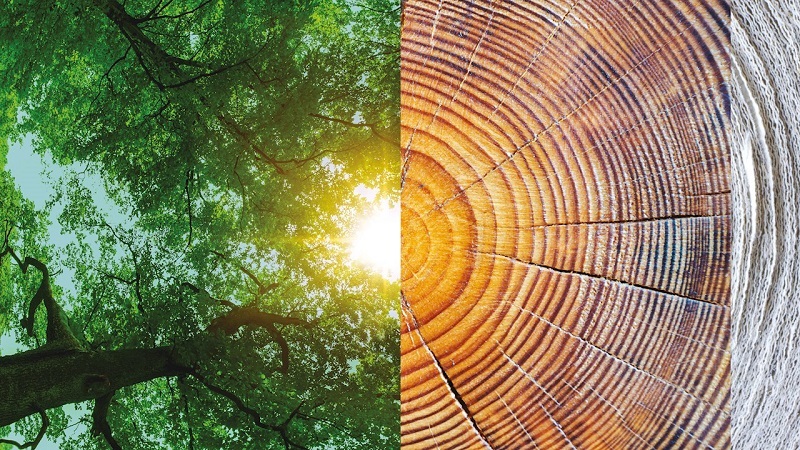 ABB Real Progress for the forestry and mining industries