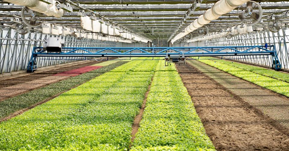 Companies are developing advanced automation technologies to improve agricultural operations