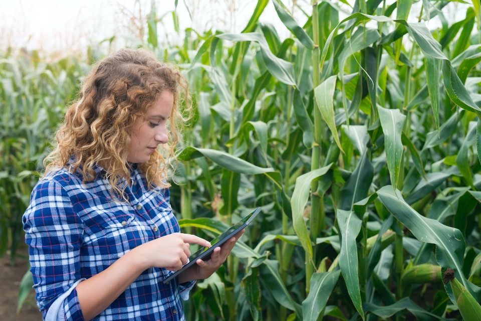 Geographic Information System (GIS) and Global Positioning System (GPS) use geospatial data for real-time data collection