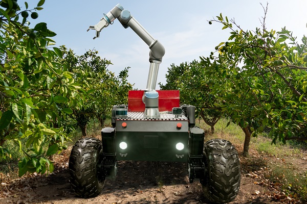 Automated robotic harvesting