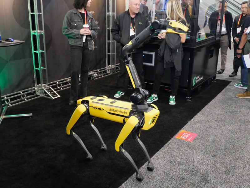 Spot the robot dog!