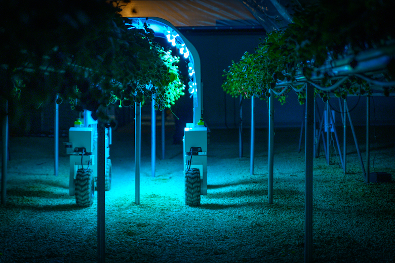Saga Robotics' Thovald robot using chemical-free UV-C light treatment