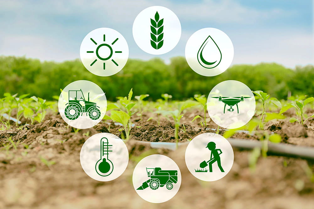 IoT network for agricultural industry