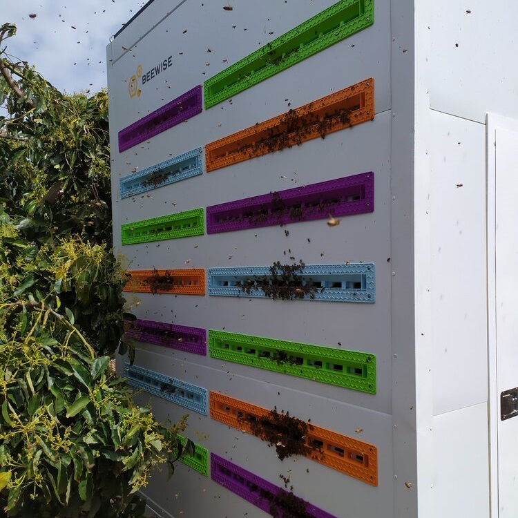 Beehome outside view