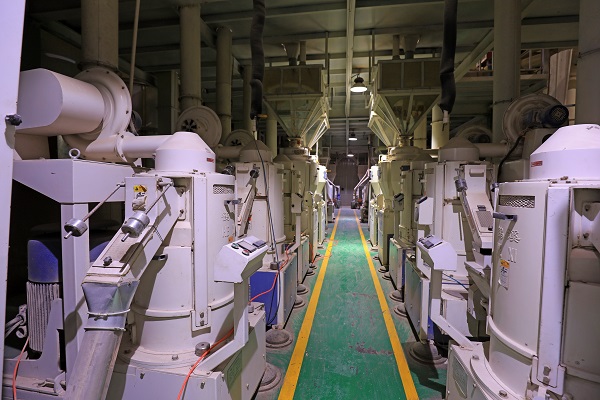 rice processing plant