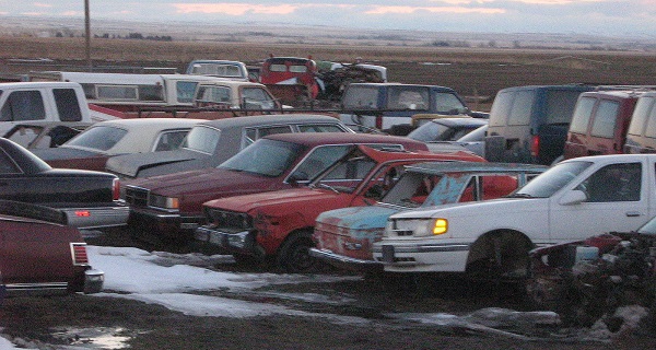 Cars at a junkyard