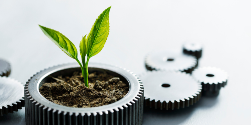 Green manufacturing/sustainable manufacturing 