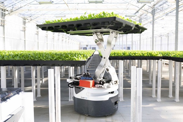 Lettuce cultivation with AMRs from Zebra (Fetch Robotics)