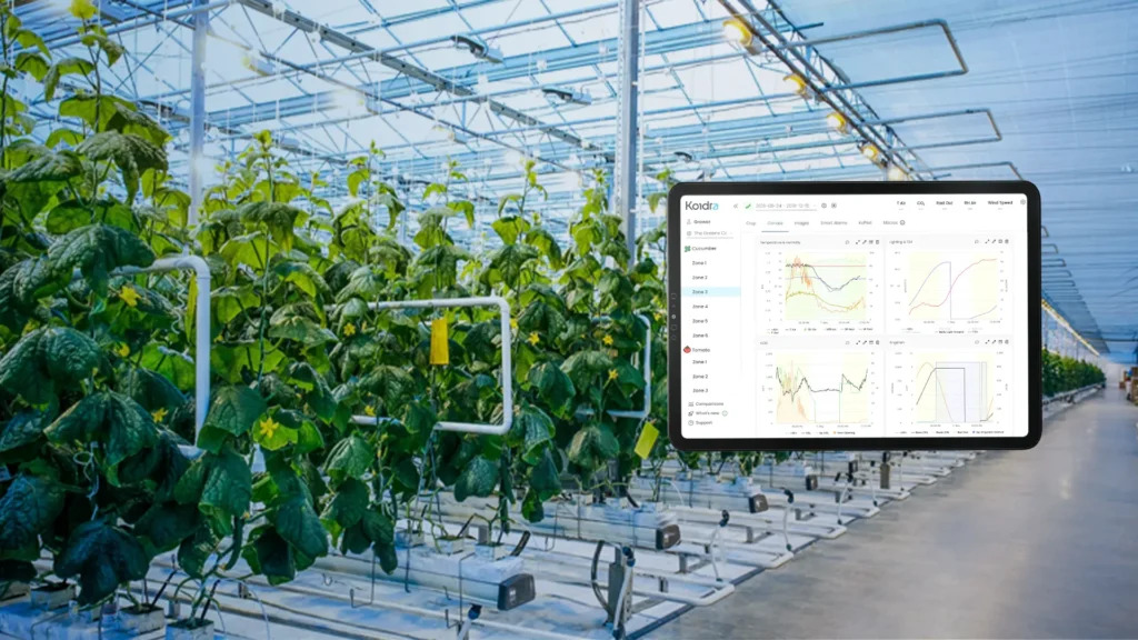 Koidra and Nature Fresh Farms' trial partnership aims to establish comprehensive and efficient greenhouse management