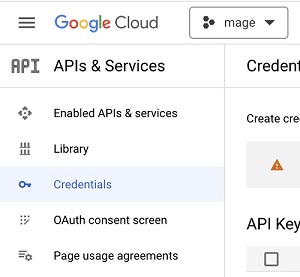 Credentials application menu in Google Services