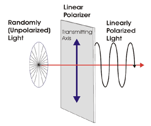 linear polarizer filters unpolarized light waves