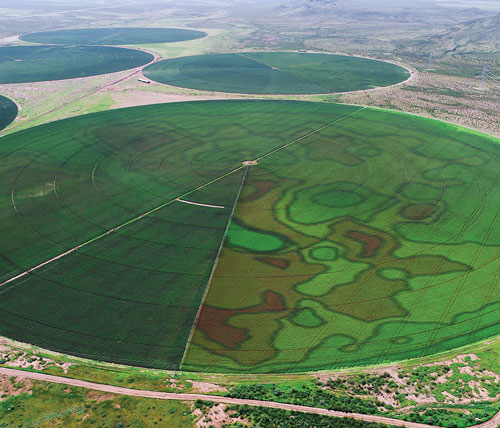 Satellite field image