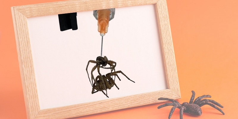 Necrobots and spider leg grippers