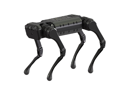 the AI quadruped