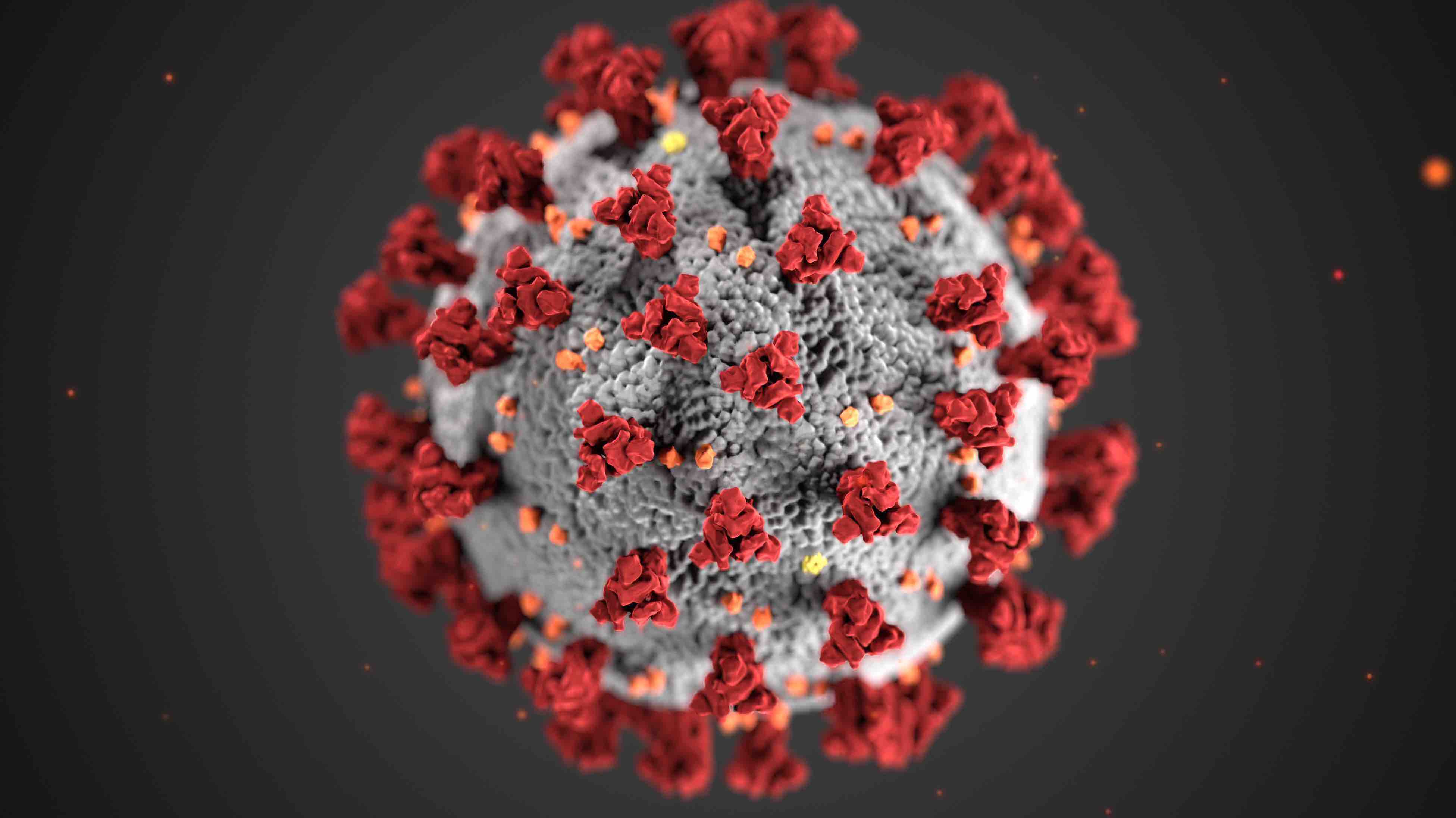 a rendering of the coronavirus