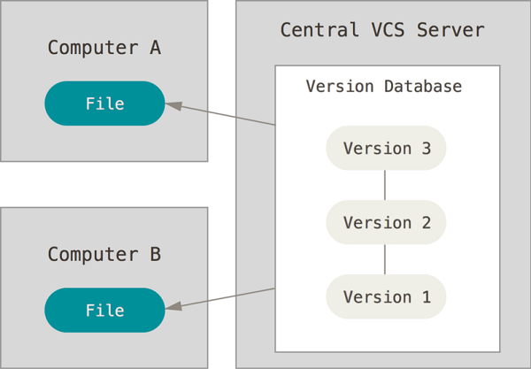 VCS server structure