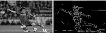 Canny Edge Detector available in OpenCV. 