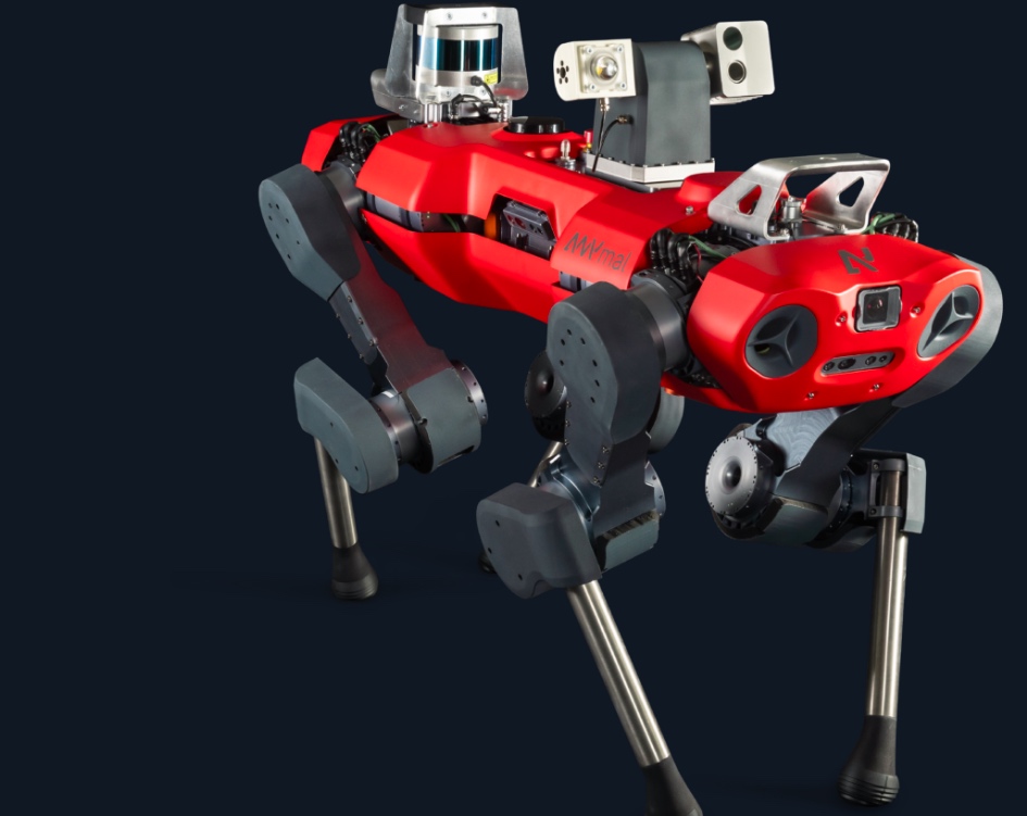 Anymal quadruped
