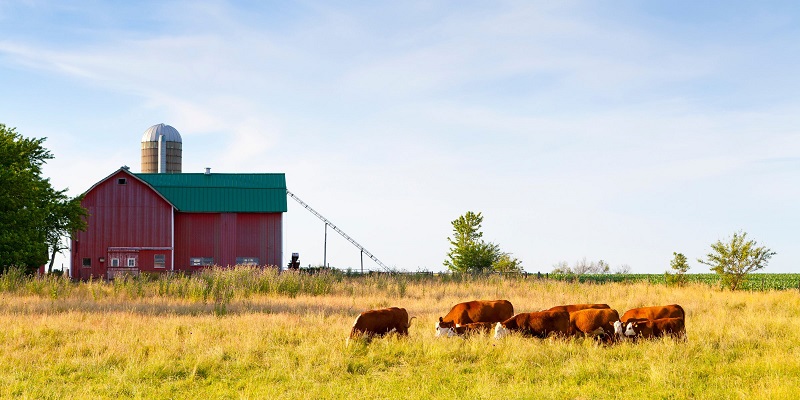 automation and robotics in farming industry