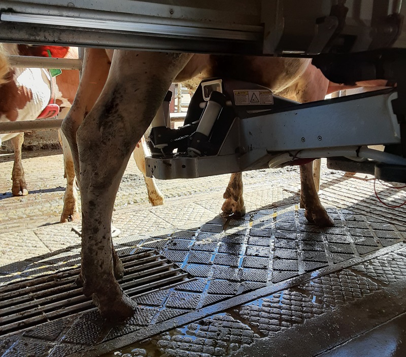 laser vision and laser guidance to clean contaminants and place milker