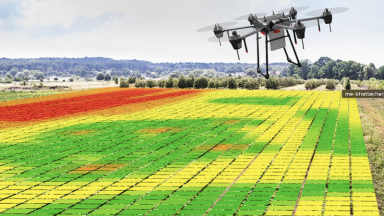 Sensors Reveal Ways to Save the Planet