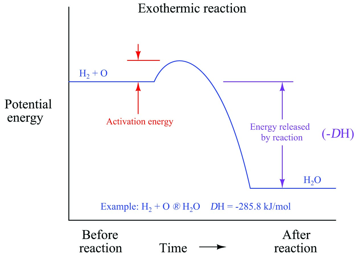 exothermic reaction graphical form