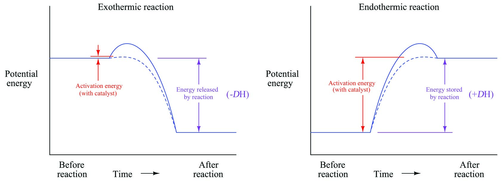 exothermic and endothermic reaction graphical form