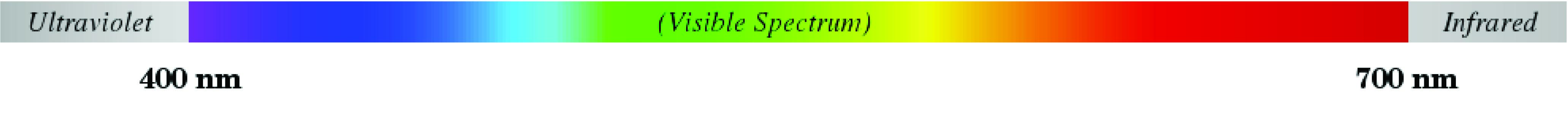 Computer-generated image of the visible light spectrum