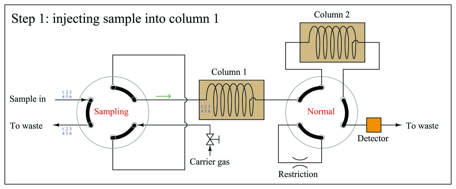 one type of dual-column gas chromatograph
