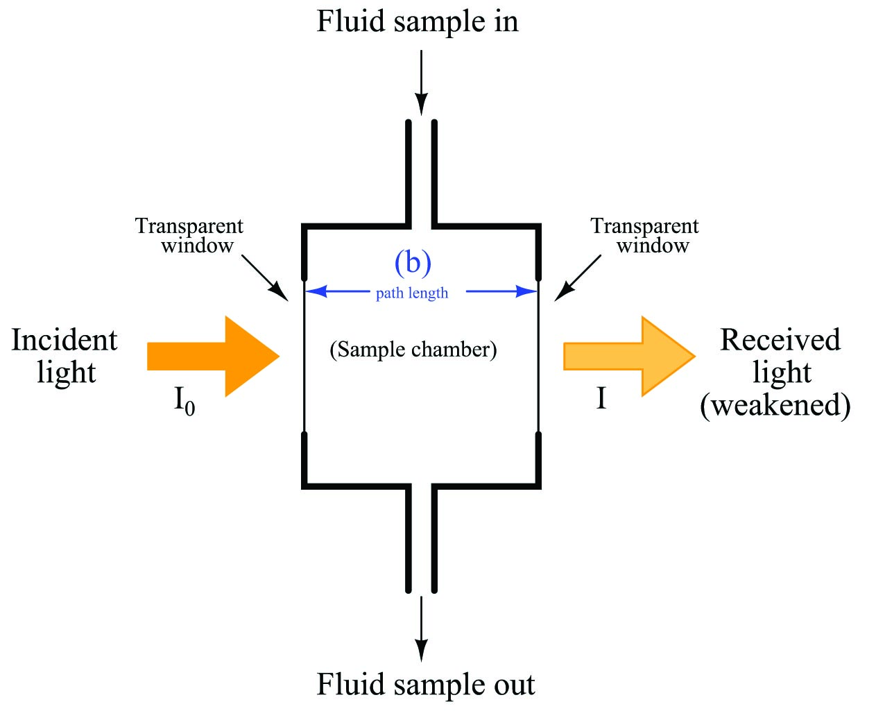 A typical arrangement for exposing a fluid sample to light