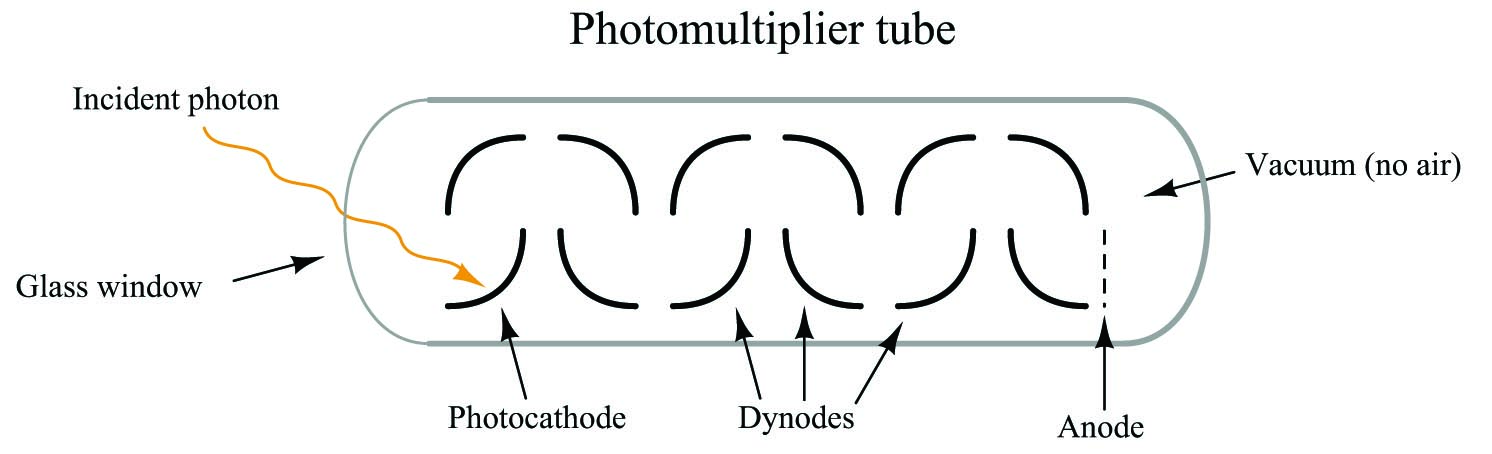 photomultiplier tube diagram