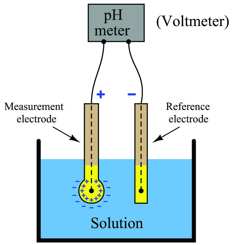 the measurement and reference electrodes