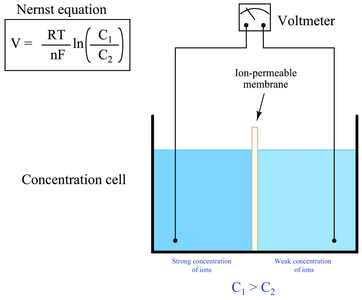 electrochemical pH measurement is based on the Nernst equation