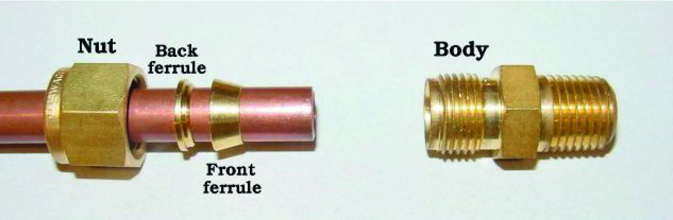 the ferrule and the nut