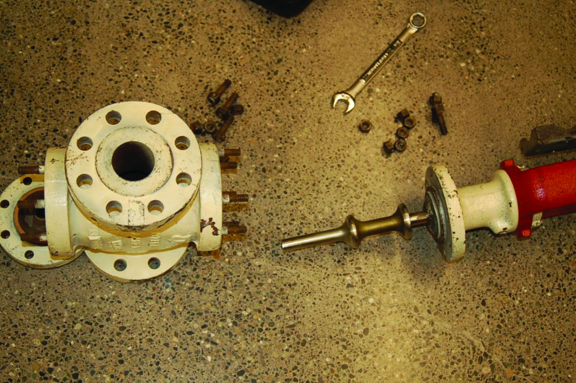 disassembled Fisher A-body double-ported globe valve