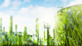 ABB, GE, and Schneider Electric Launch Solutions for Industrial Sustainability