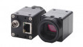 The Role of Machine Vision in the Pharmaceutical Industry 