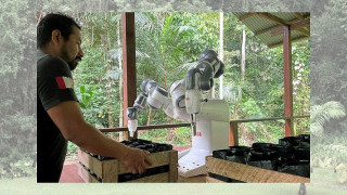 ABB Robotics and Junglekeepers Combat Deforestation, One Cobot at a Time