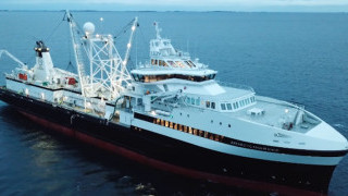 Can Generative AI and Large Language Models Help Catch More Krill?