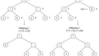 Genetic Operators in Evolutionary Algorithms