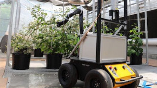 WVU Researchers Develop New Robot to Utilize AI and Machine Learning for Industrial Farming Operations