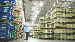 Identifying Common Challenges in Warehouse Management Systems 