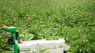 Autonomous Farming Robots brought to U.S. by Naïo Technologies SAS