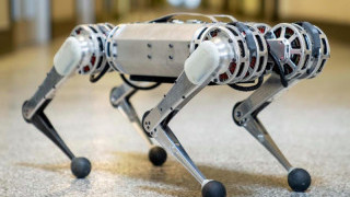 Quadrupeds: The New Buzz In Robotics