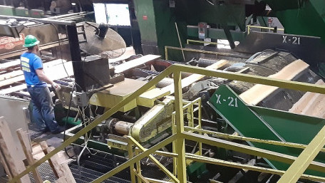 Wood You Look at That? The Incredible Automation Controlling Lumber Mills