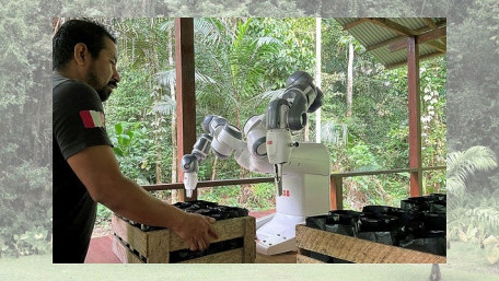 ABB Robotics and Junglekeepers Combat Deforestation, One Cobot at a Time